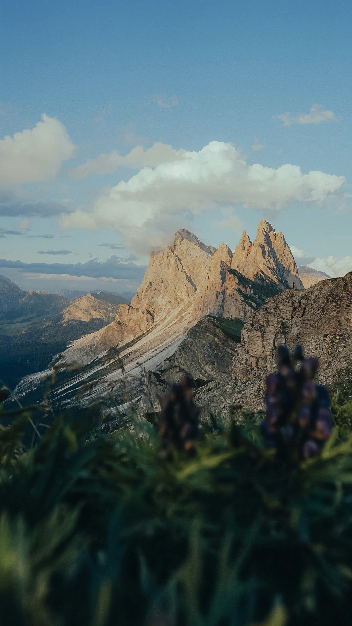 The jagged peaks of the Dolomites rising above alpine wildflowers at dusk