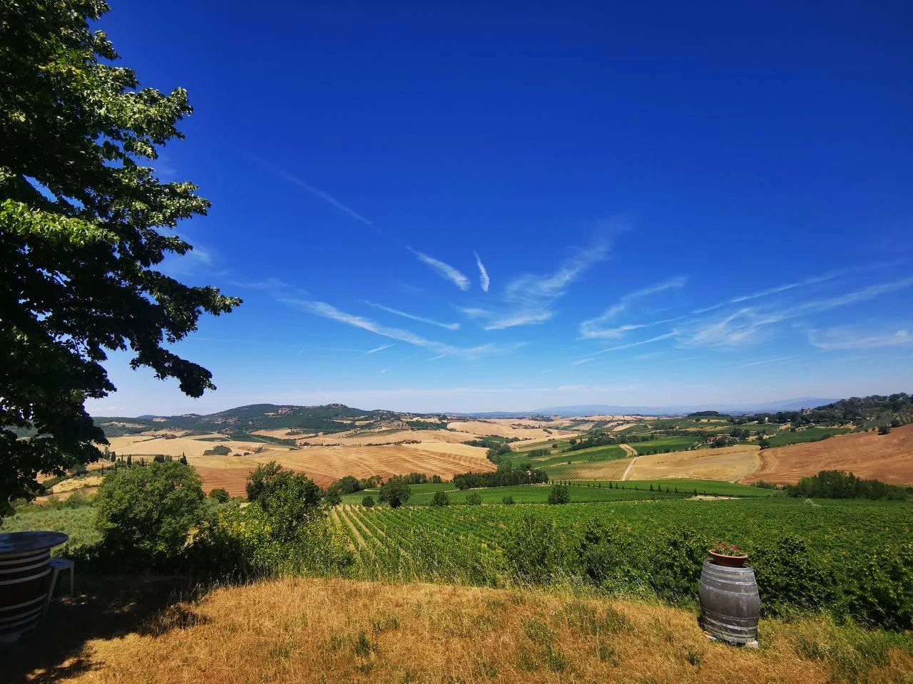 Rolling green and gold farmland under a deep blue sky