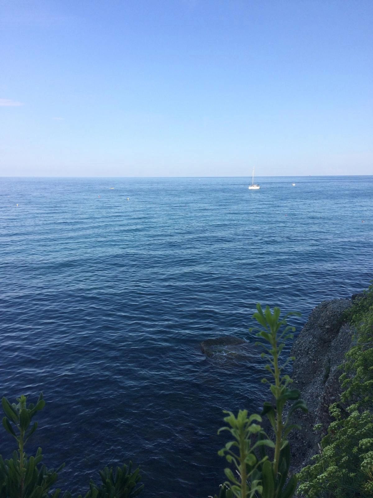 Calm deep blue sea with a lone sailboat on the horizon, seen past rocks and green plants