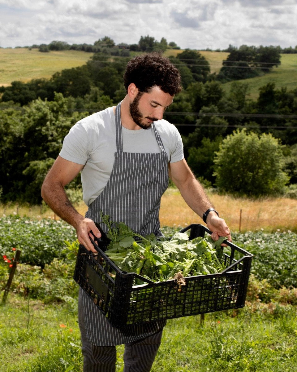 A cook carrying a crate of freshly picked vegetables through a field
