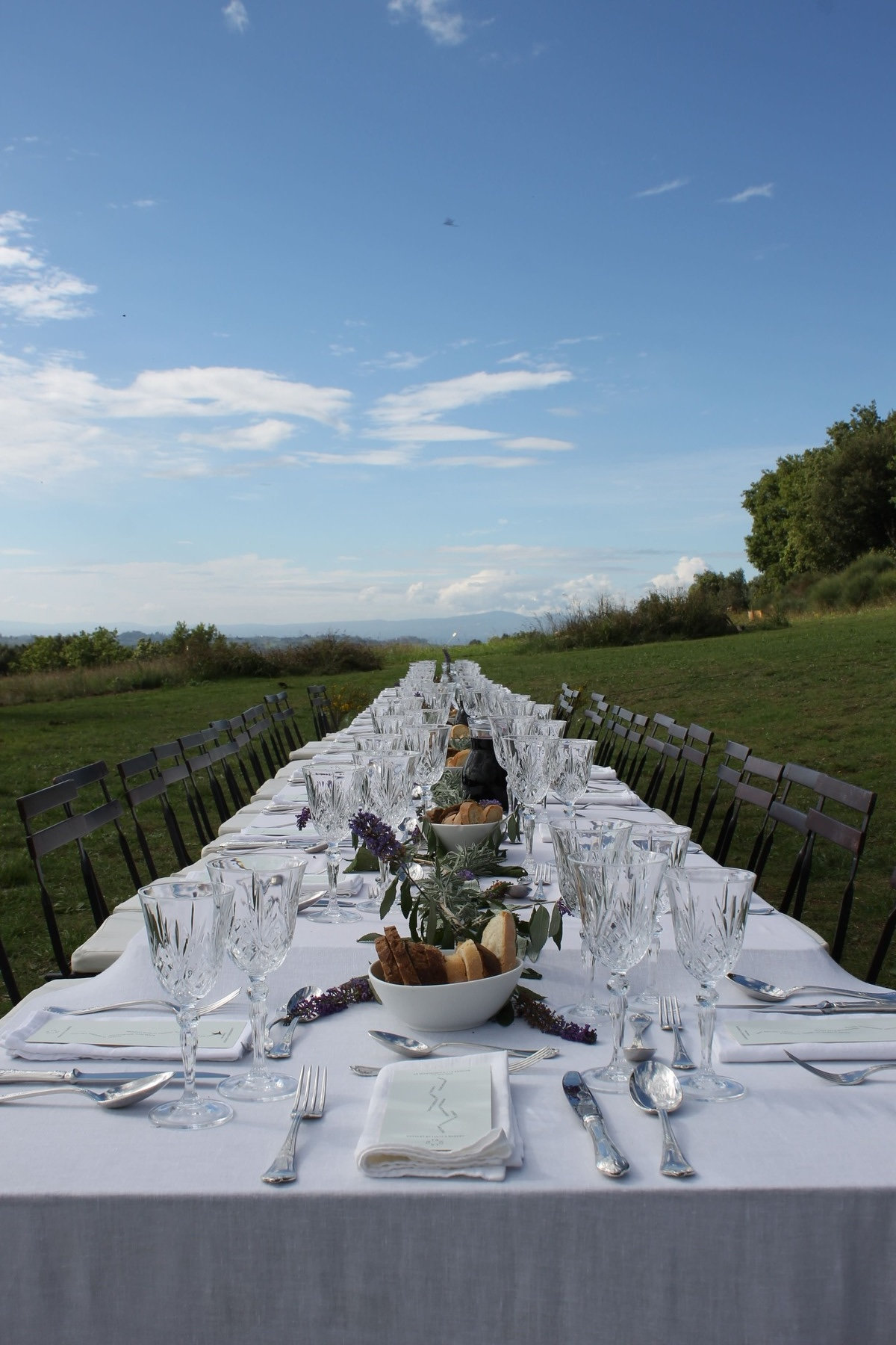 Long banquet table set with crystal glasses and flowers in an open grassy field under blue sky