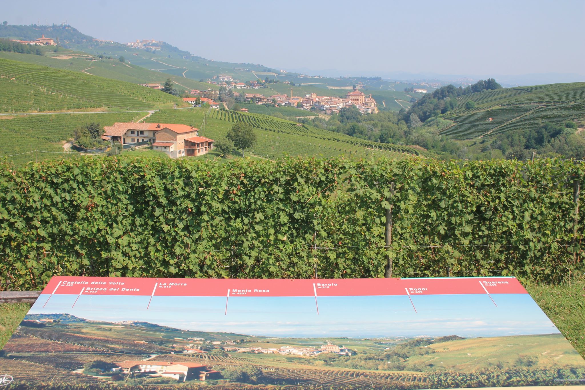 Rolling vineyard hills with a hilltop village beyond a vine hedge and a panoramic information board in the foreground