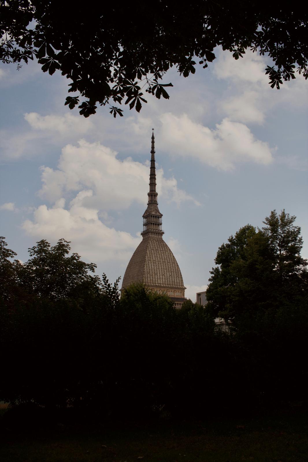 The Mole Antonelliana rising above the trees in Turin
