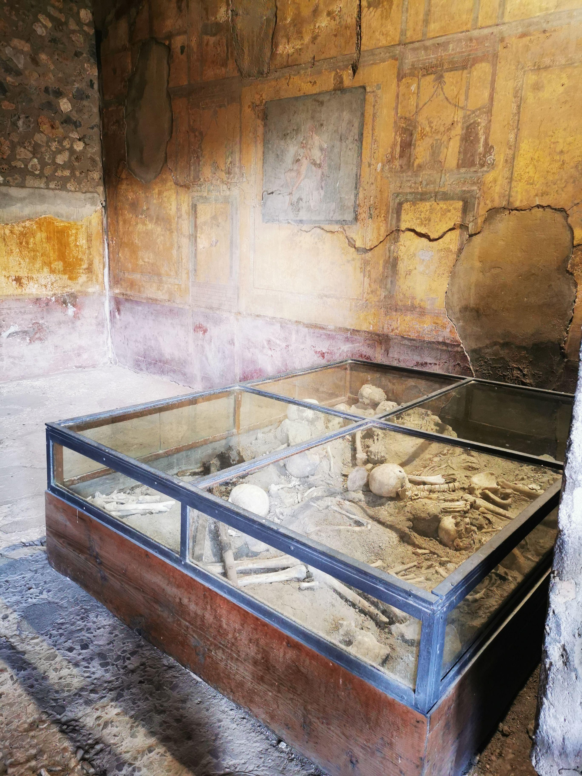 A display case of archaeological finds in a frescoed room at Pompeii