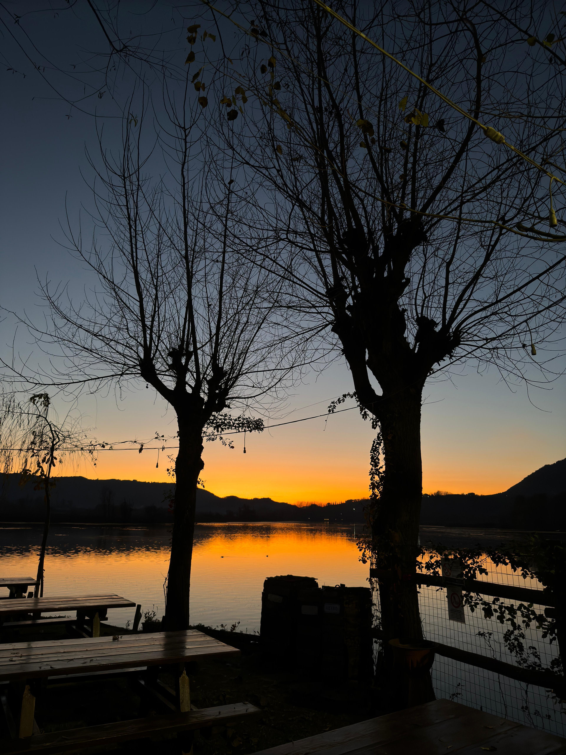 Bare trees silhouetted against the sunset over Lake Posta Fibreno
