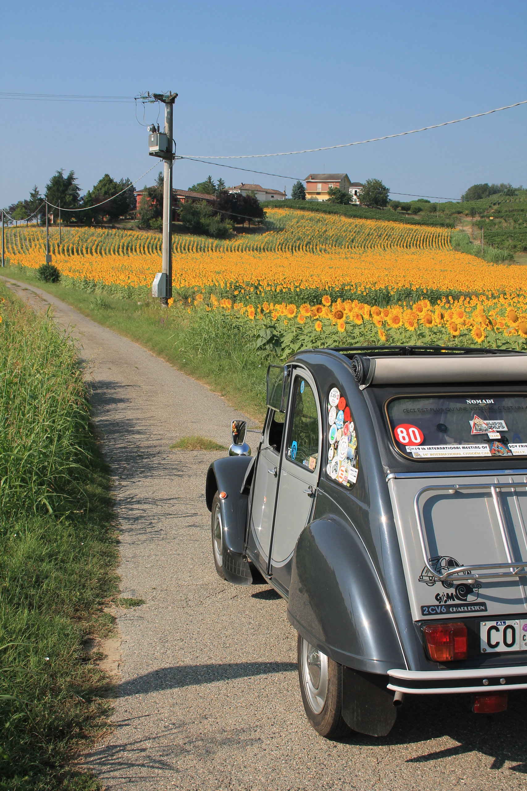 A vintage Citroën 2CV parked on a country lane beside a field of sunflowers