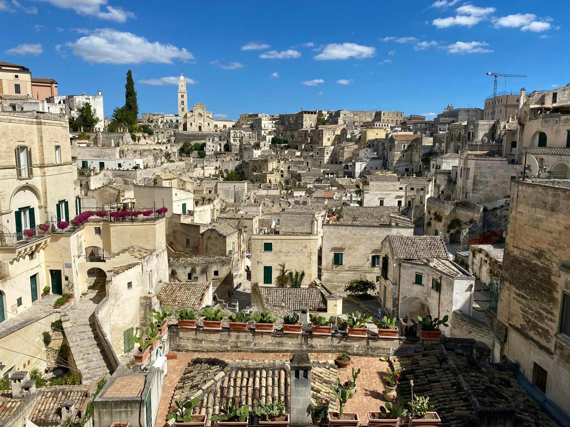 Rooftop view over the stone houses of Matera with potted plants and a bell tower in the distance