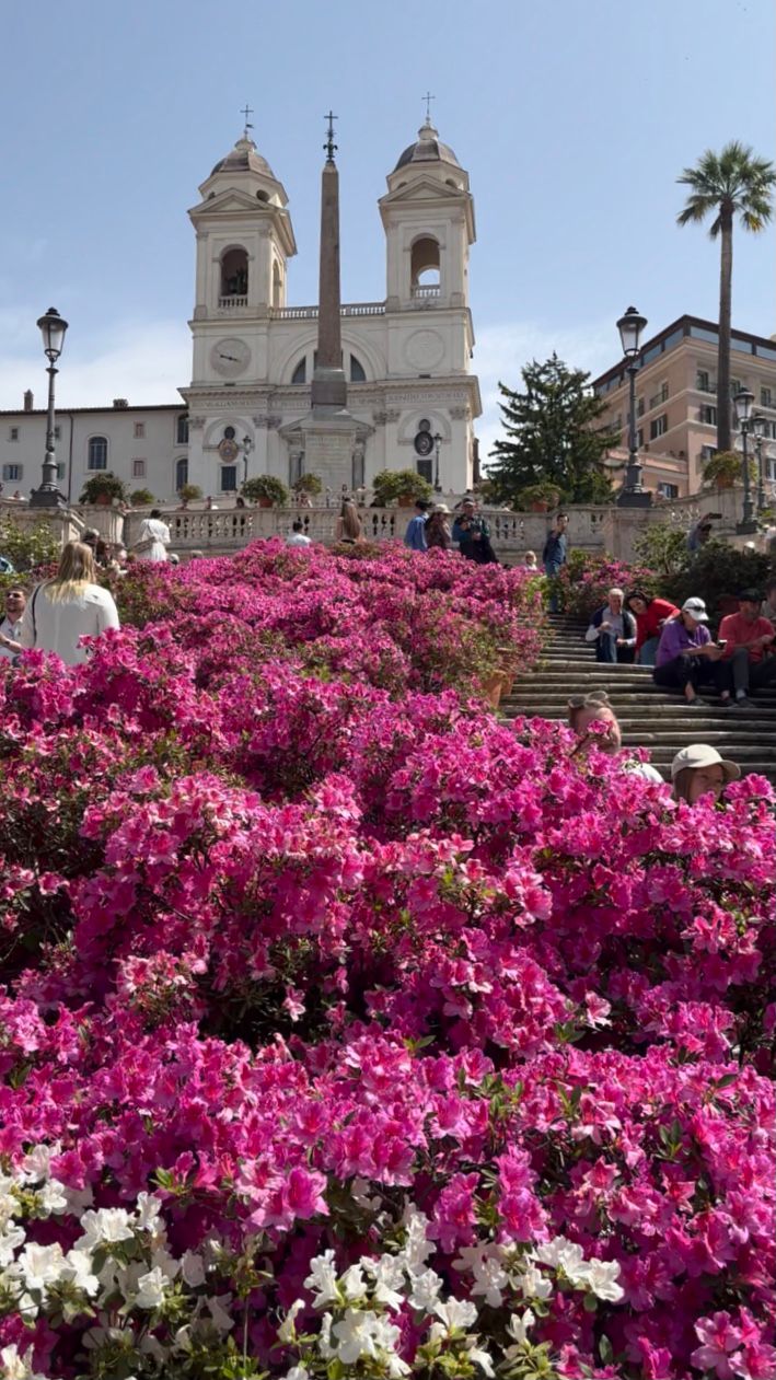 The Spanish Steps in Rome banked with azaleas in bloom