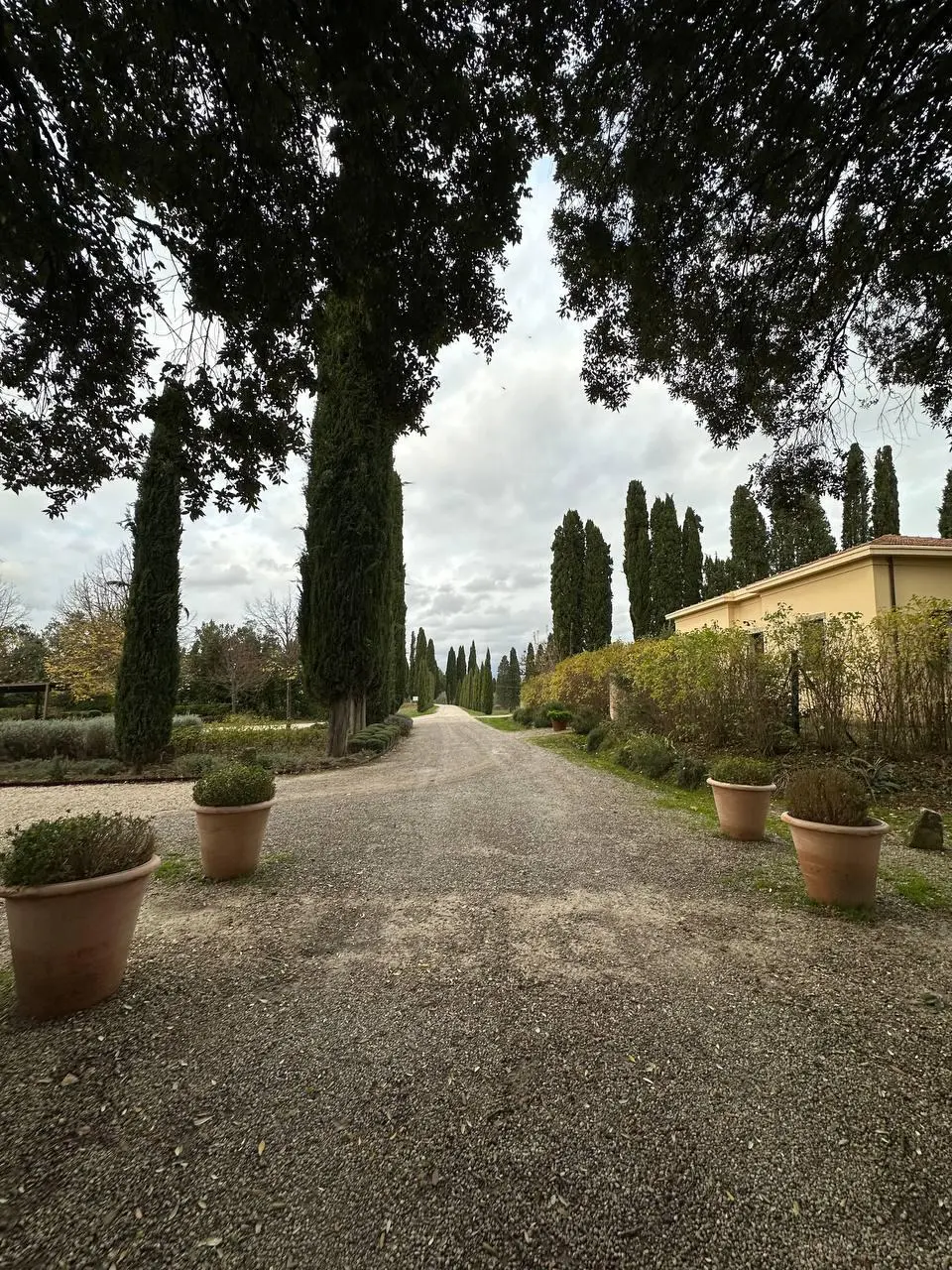 A cypress-lined gravel drive leading to a Tuscan farmhouse