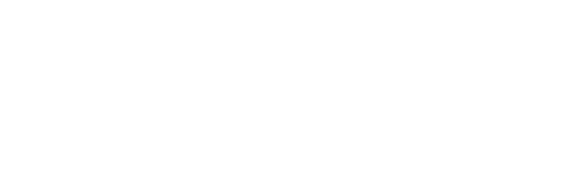 IATA TIDS — Travel Industry Designator Service