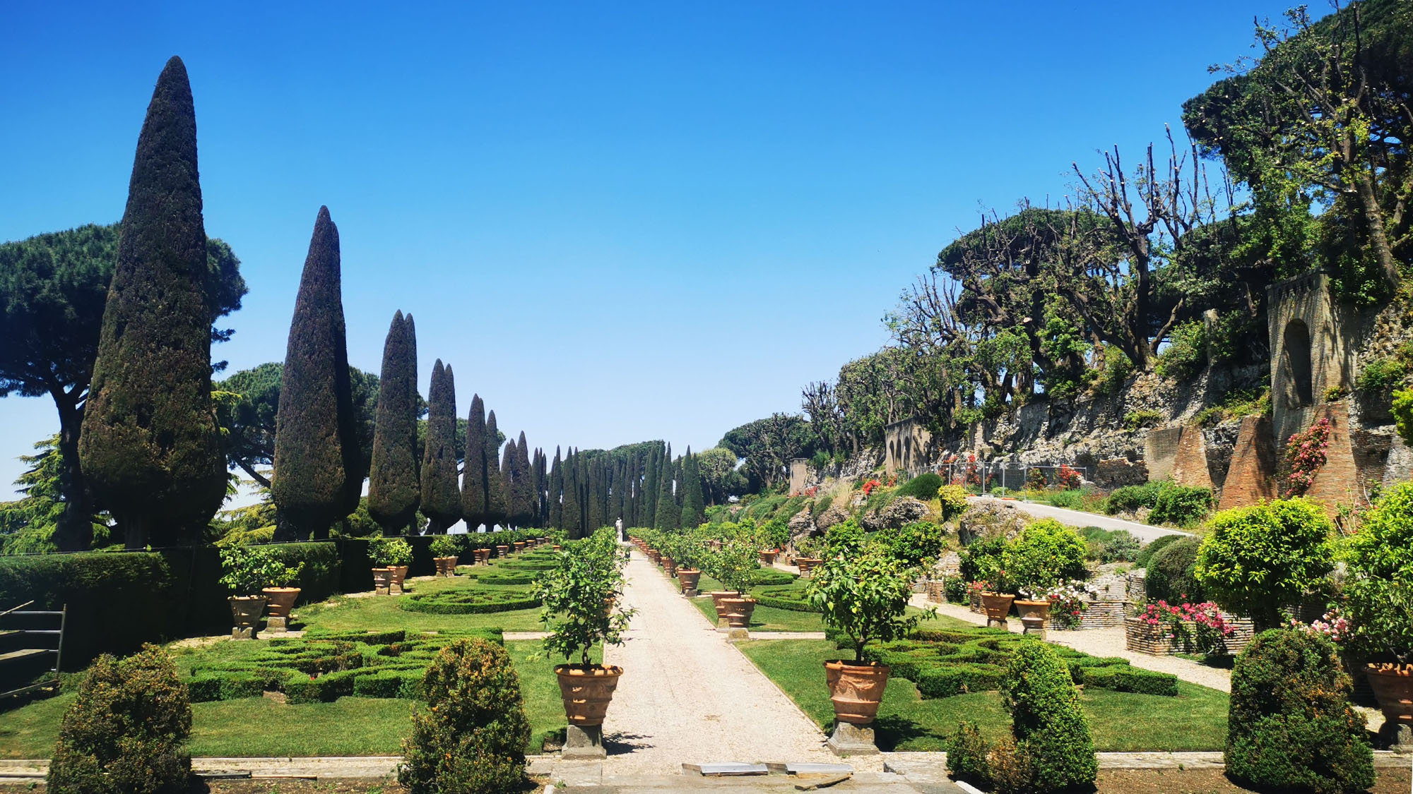 Formal Italian garden with tall cypresses, potted lemon trees and a gravel path beside an old wall
