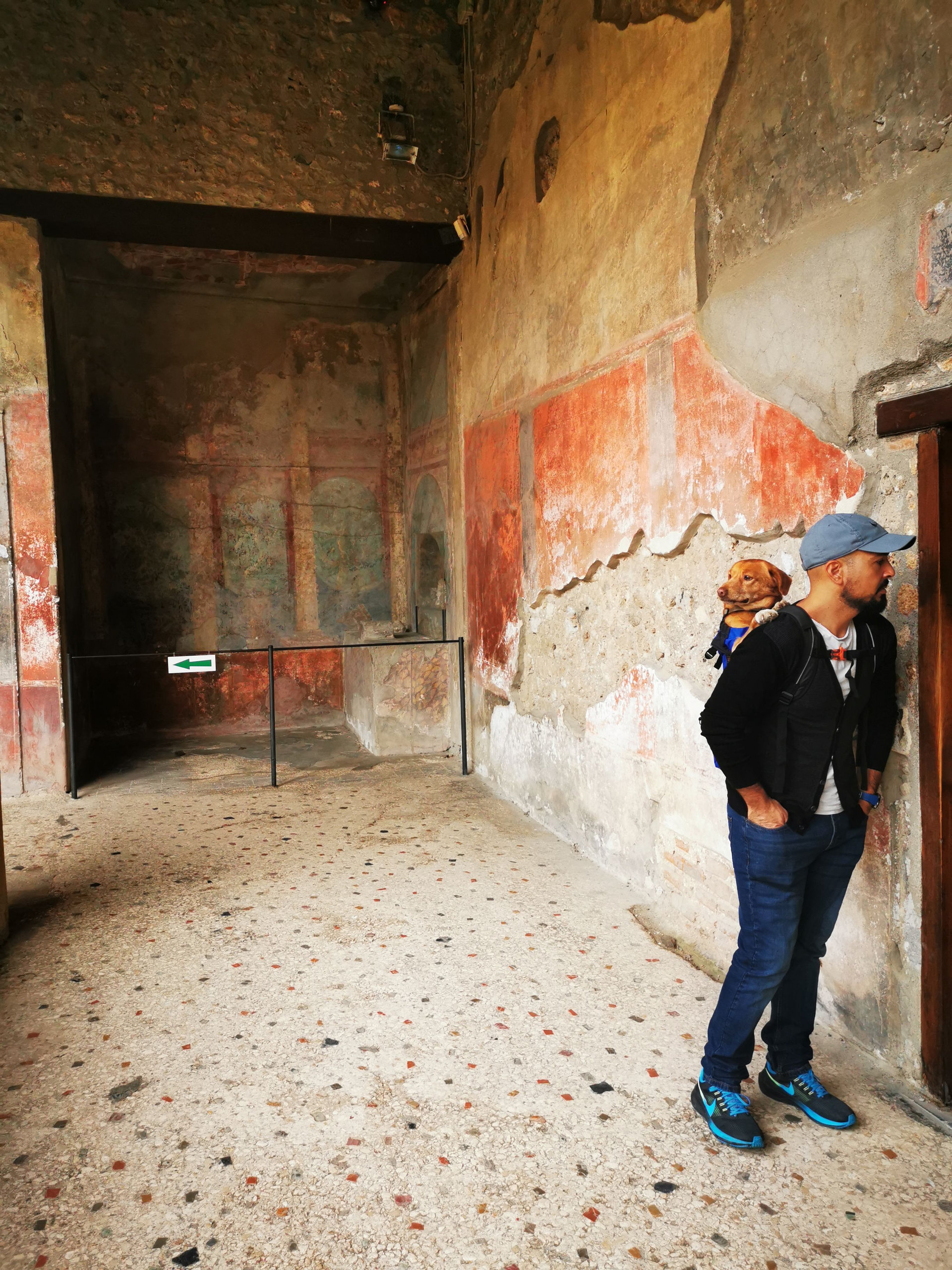 A man with a dog in his backpack standing in a room of faded red frescoed walls