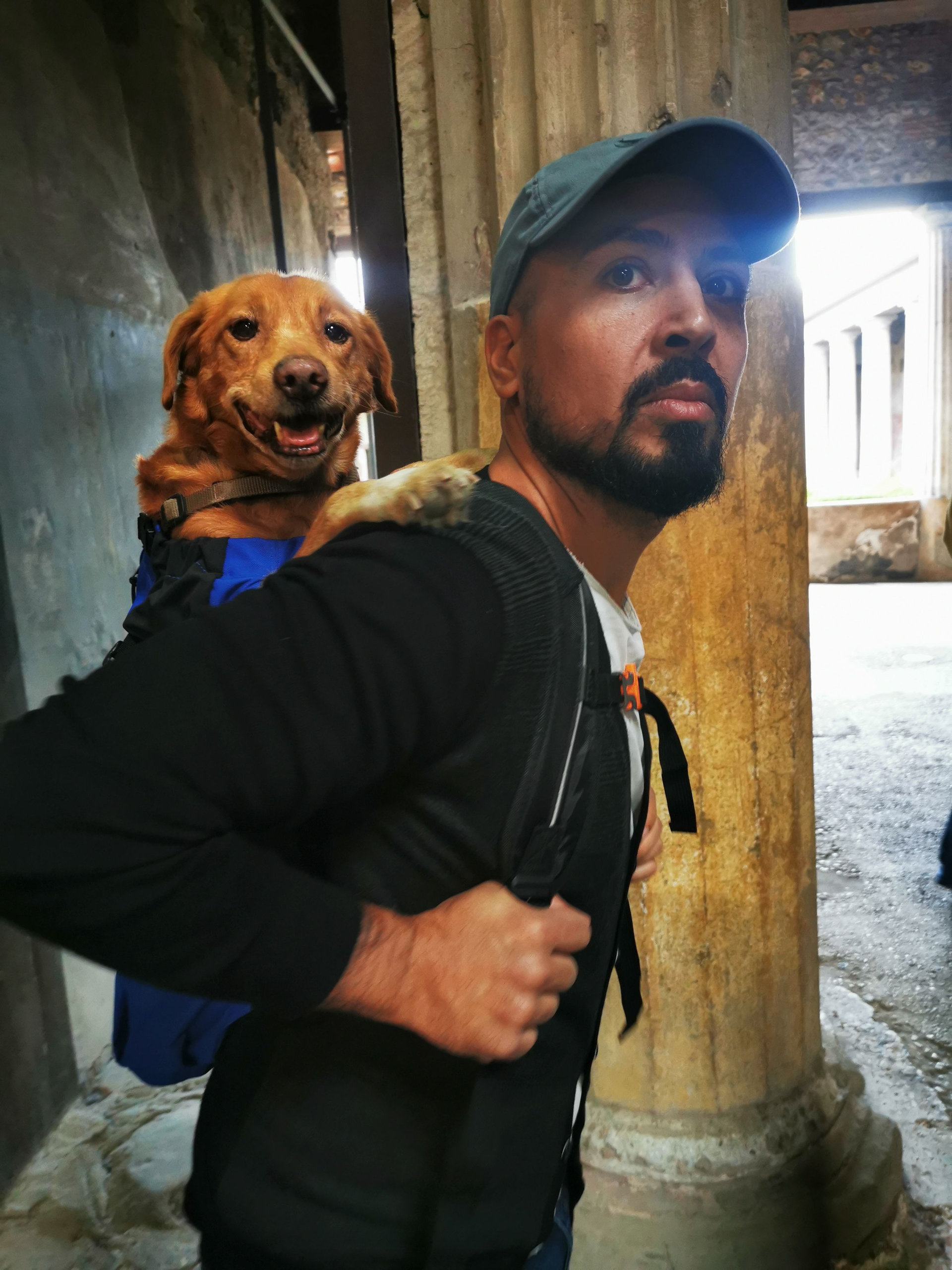A smiling dog riding in a backpack next to a visitor in front of an ancient column