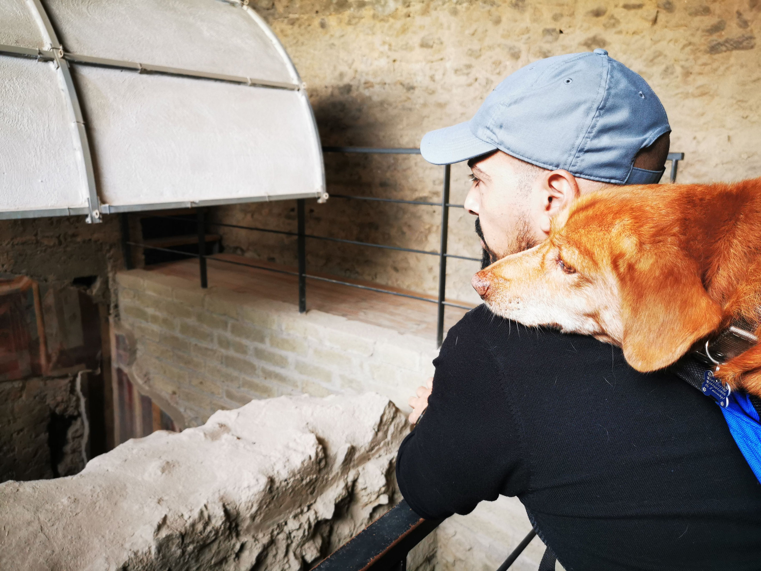 A visitor and his dog looking down into an excavated area under a modern protective roof