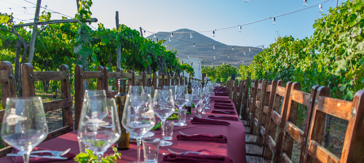 Long table set with red runners and wine glasses between vine rows, with a mountain beyond
