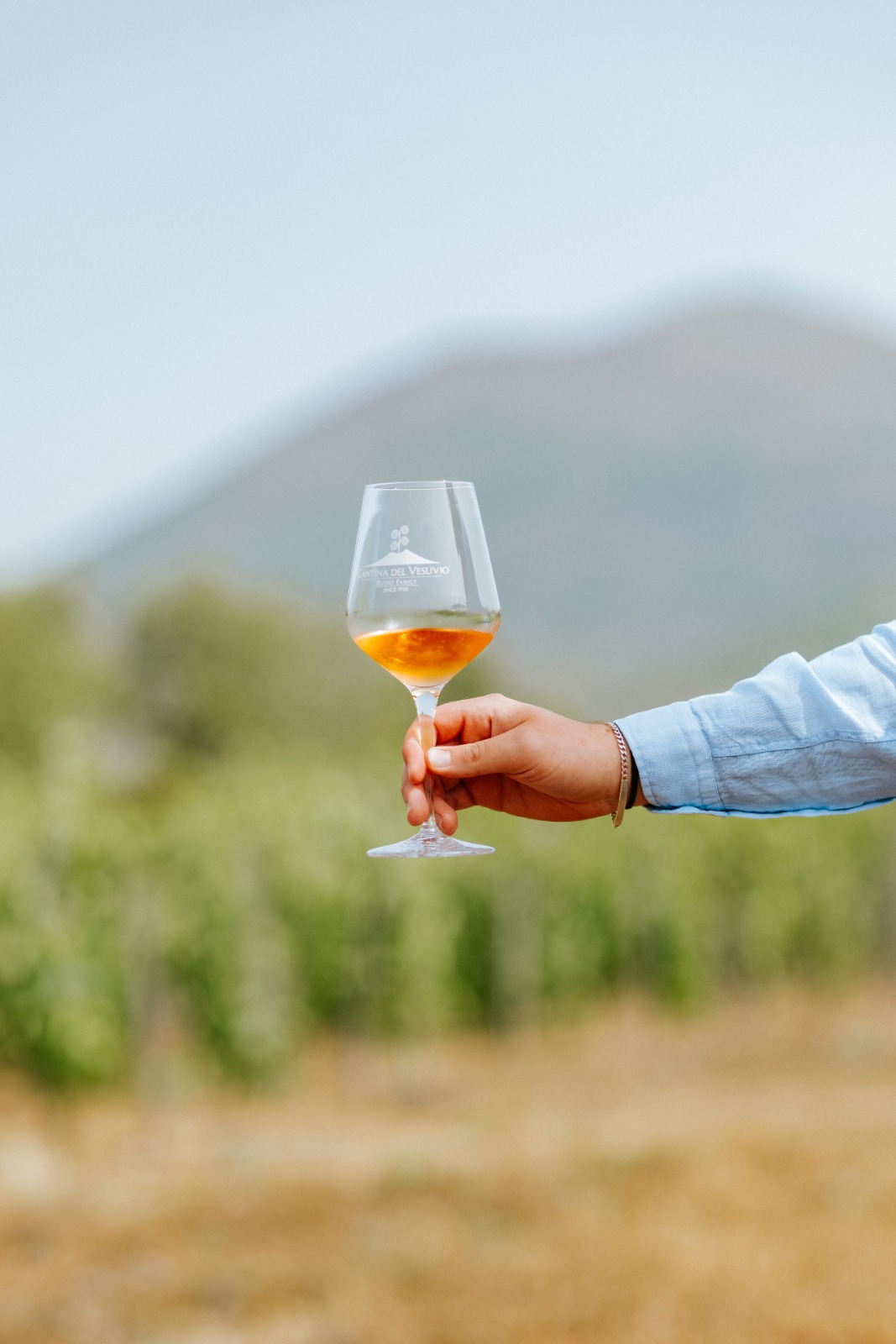 Hand holding a glass of amber wine against blurred vines and a volcanic slope