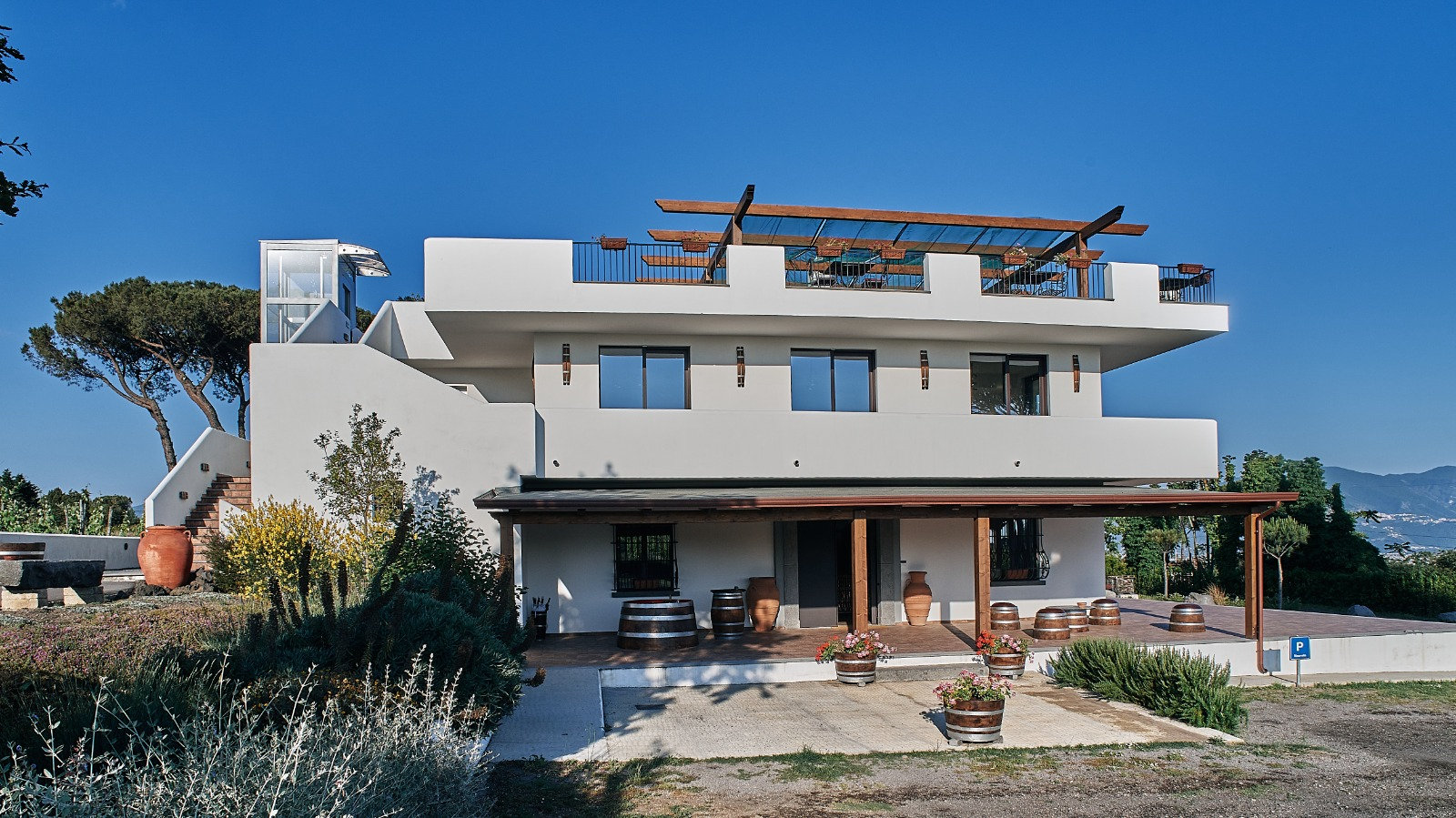 Modern white winery building with a pergola terrace, barrels and pine trees