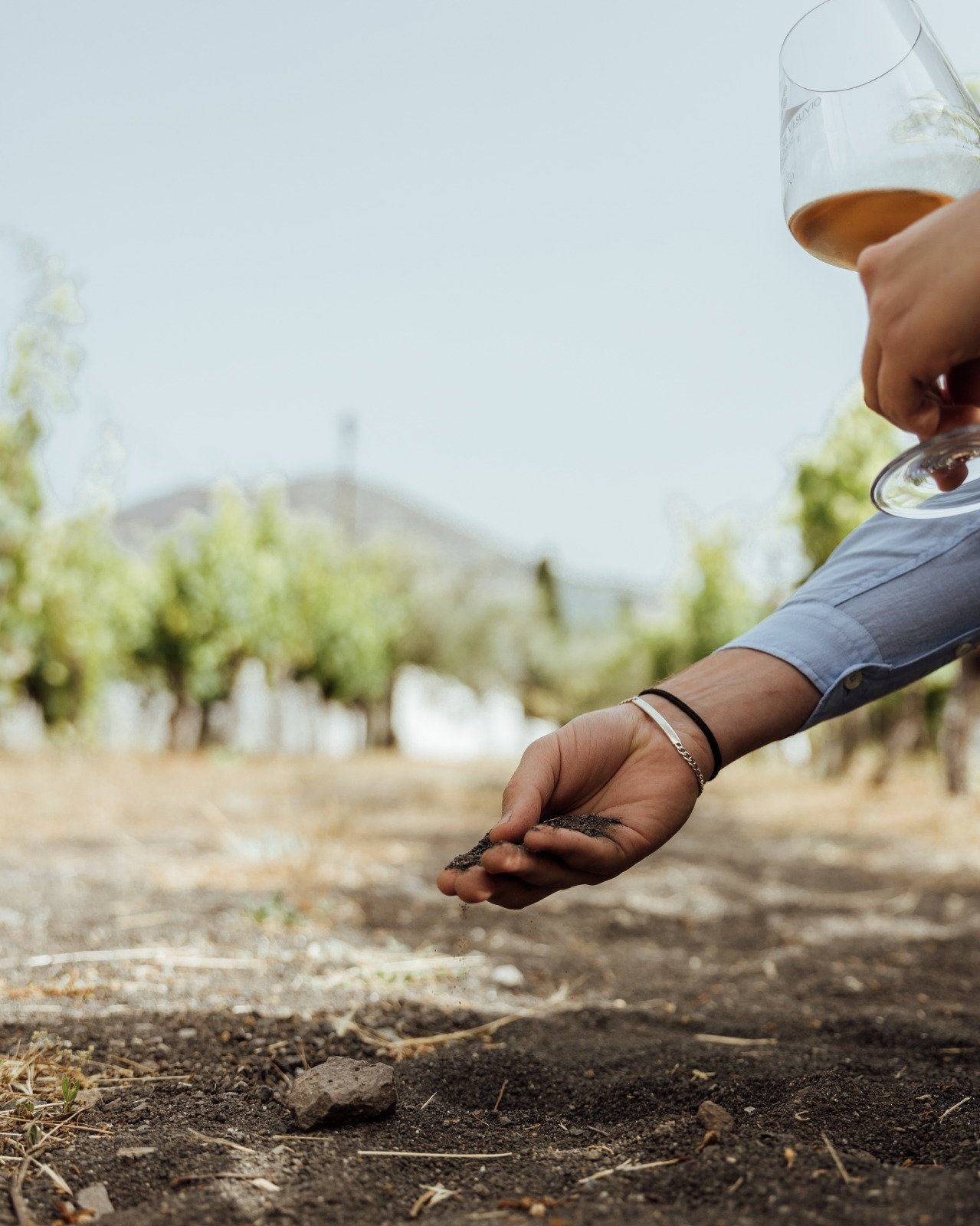Hand holding a pinch of dark volcanic soil beside a glass of wine in the vineyard