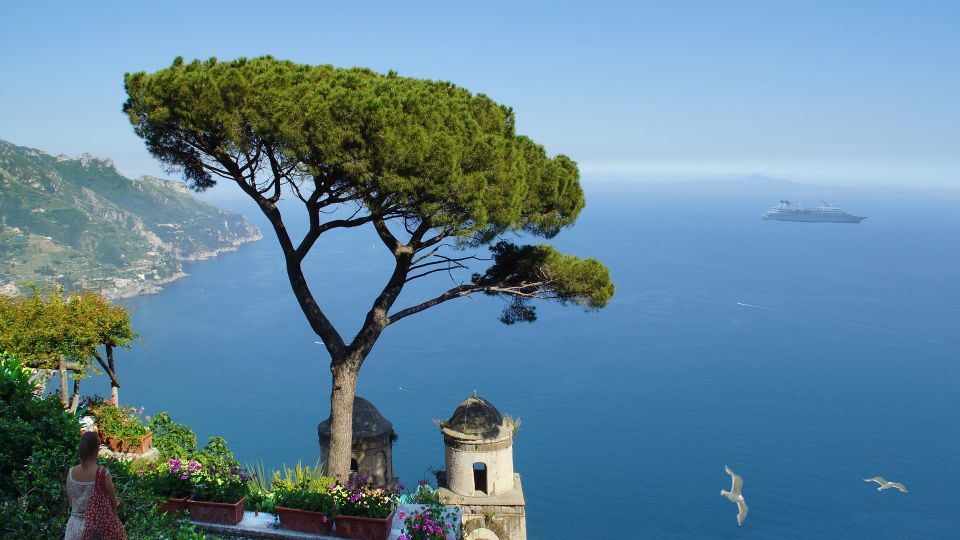 Umbrella pine leaning over the sea from a flower-filled terrace on the Amalfi Coast