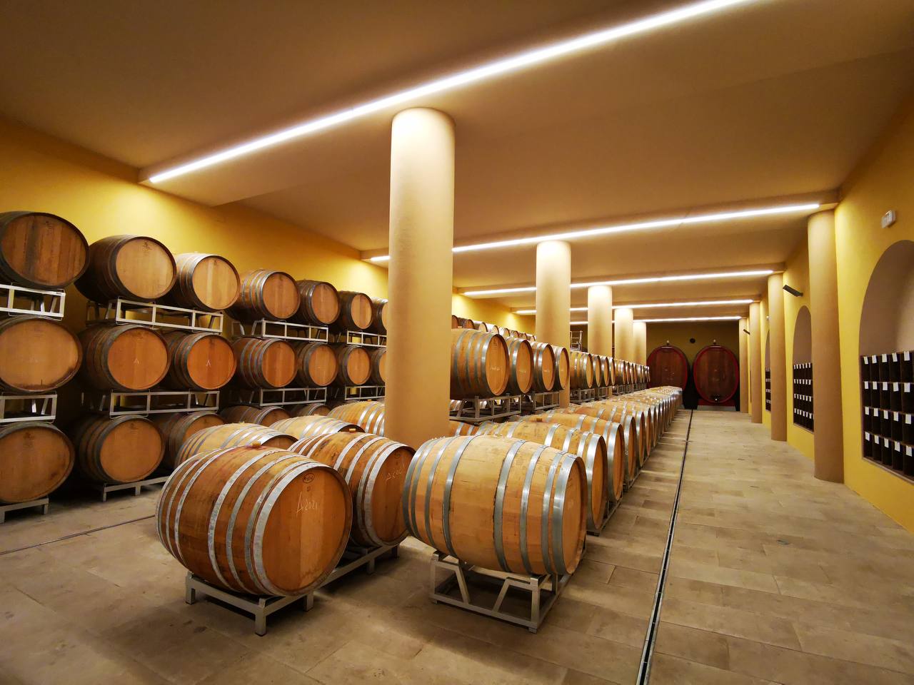 Rows of oak barrels in a bright yellow wine cellar with round columns and strip lighting