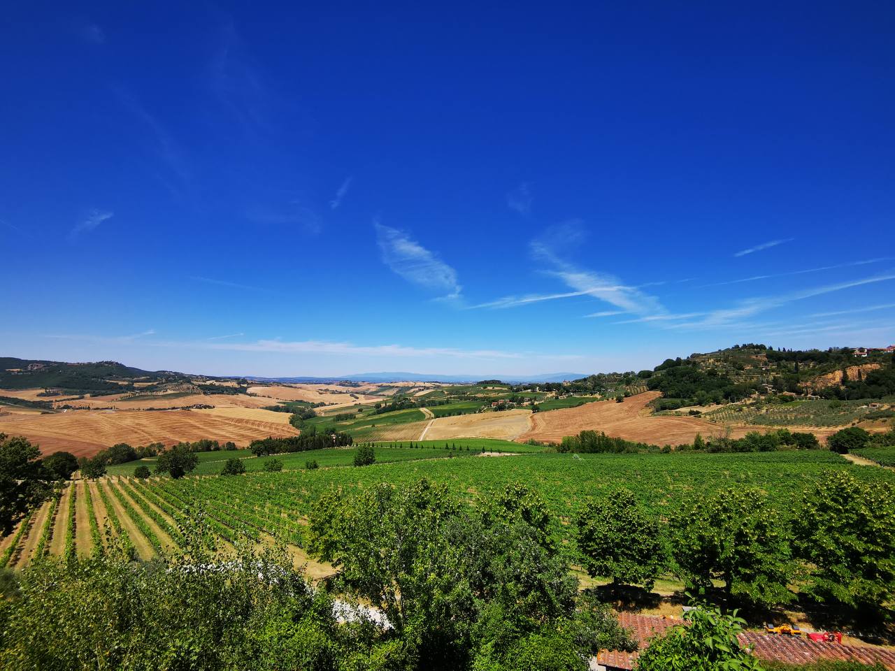 Rolling Chianti hills with vineyards and golden fields beneath a vivid blue sky