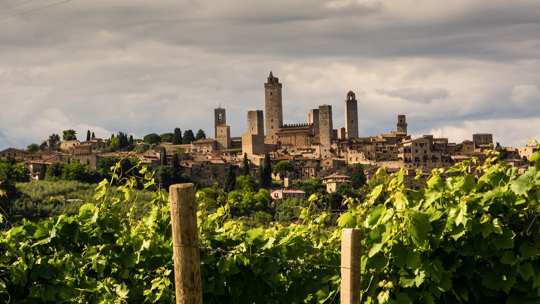 Medieval towers of San Gimignano rising above a hilltop town, seen over green vineyards