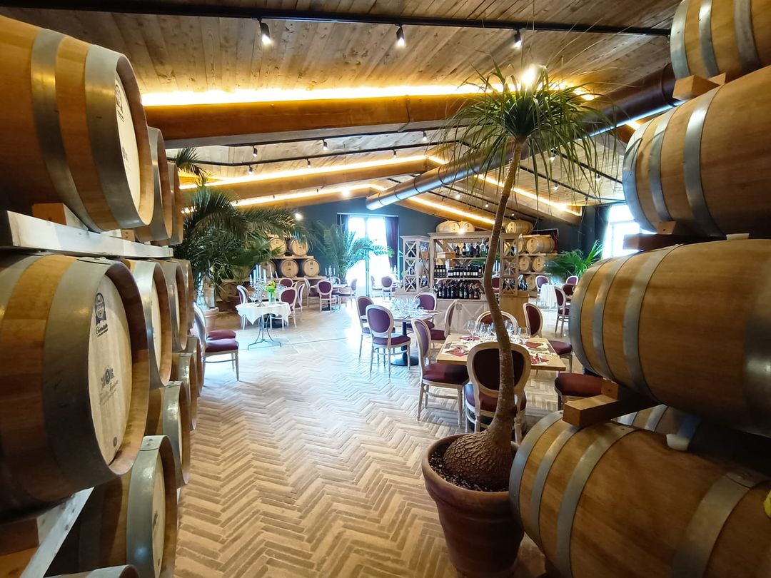Winery dining room with stacked oak barrels, set tables and potted palms under a wooden ceiling