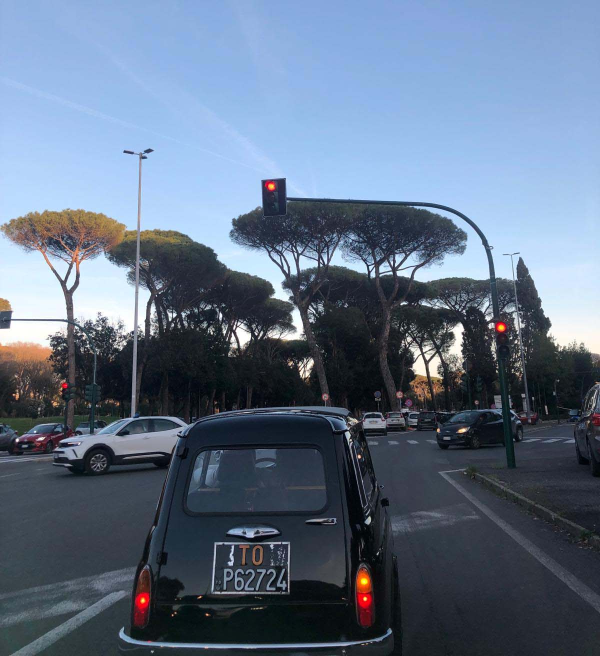 Rear of a small black vintage car stopped at a traffic light beneath umbrella pines