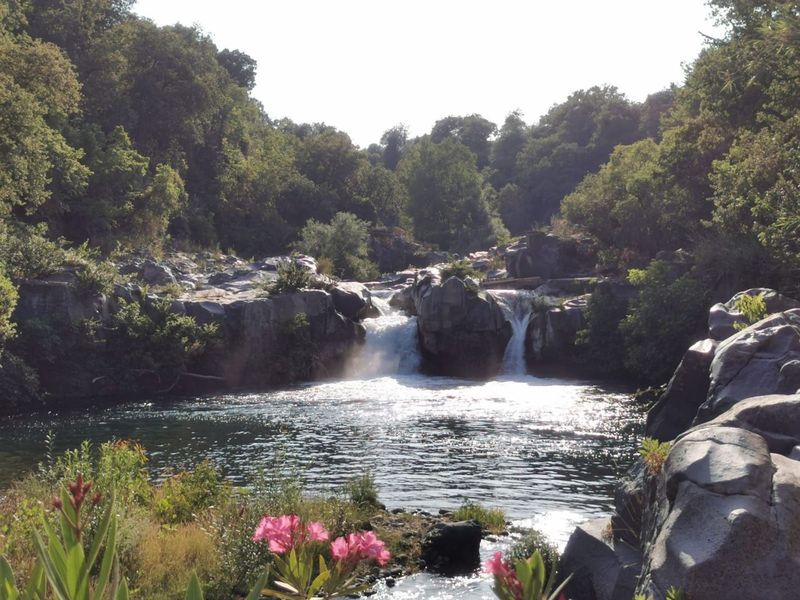 Small waterfall flowing over dark volcanic rocks in the Alcantara Valley, with pink oleander in the foreground