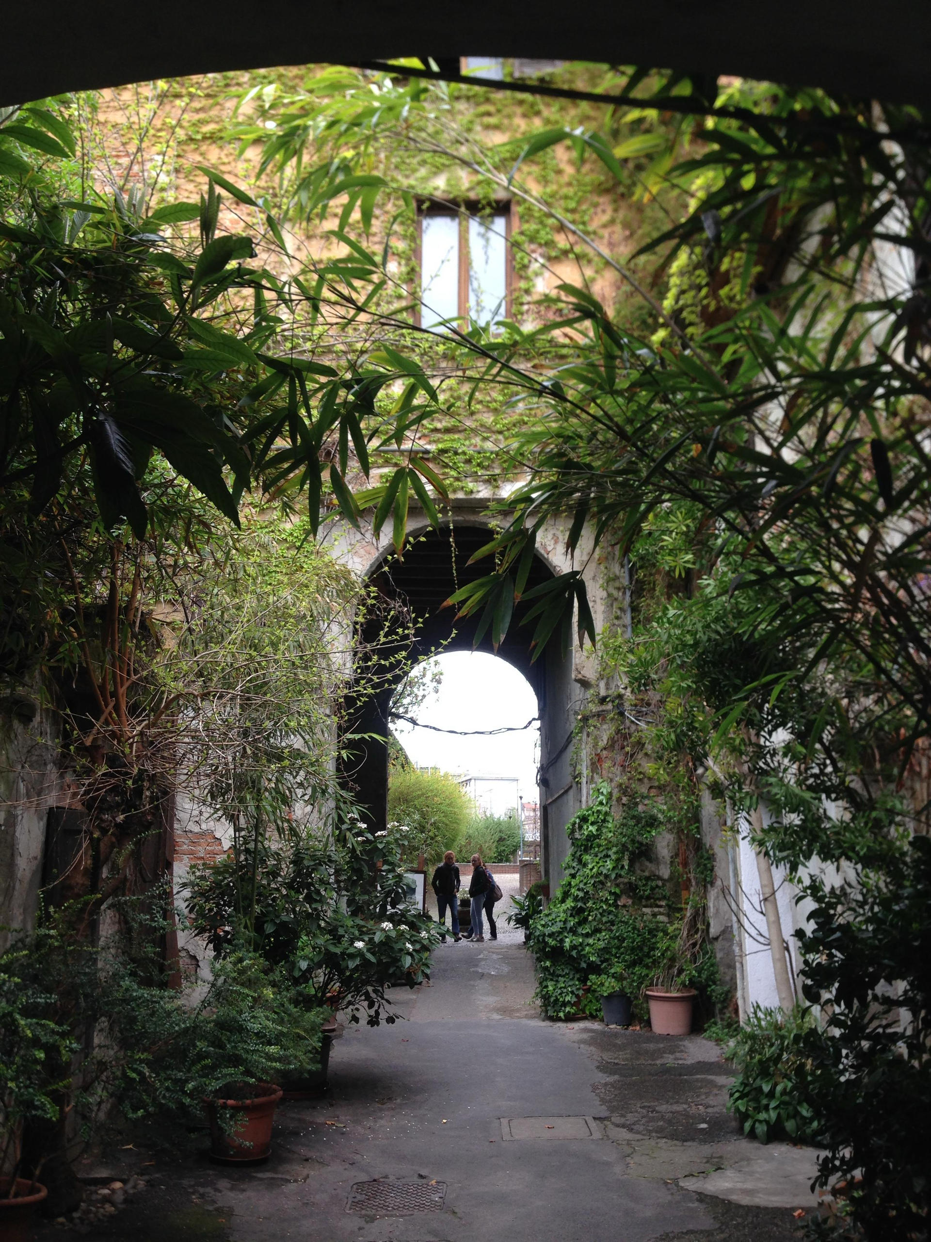 Ivy-covered courtyard with plants framing an archway in a hidden corner of Milan