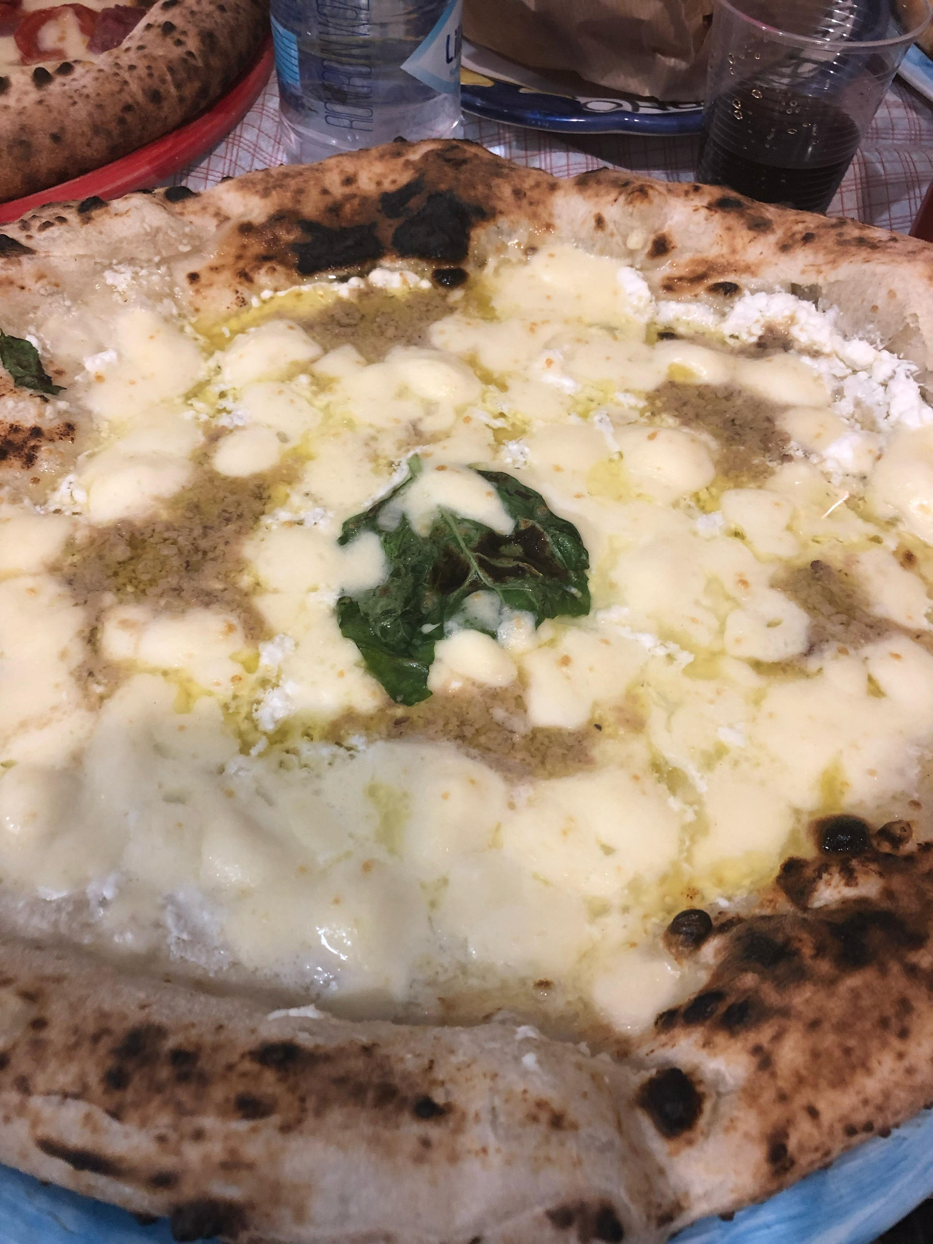 Wood-fired Neapolitan pizza with melted mozzarella, basil and a charred crust