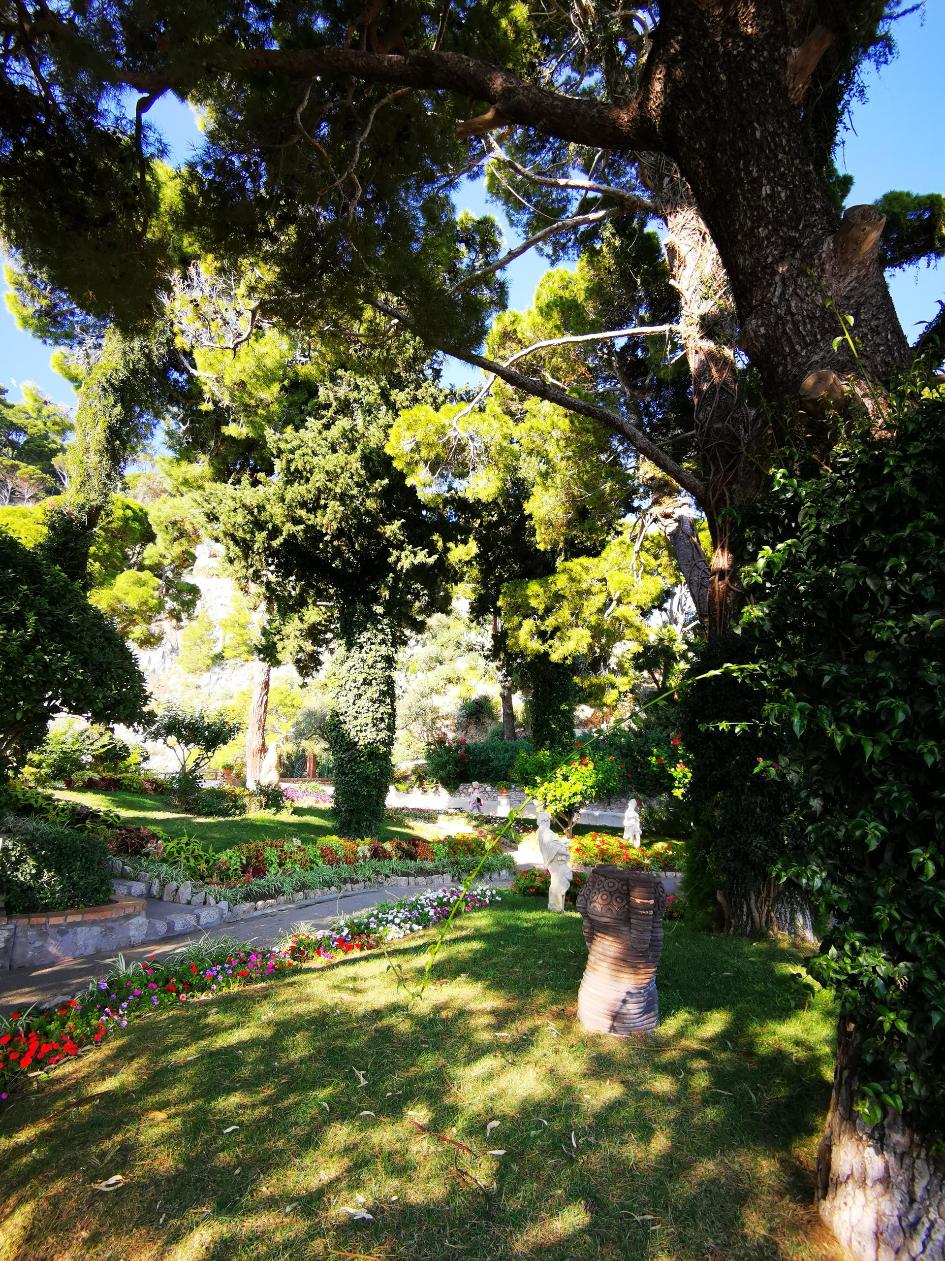 Sunlit garden with pine trees, flower beds and a small sculpture on the lawn