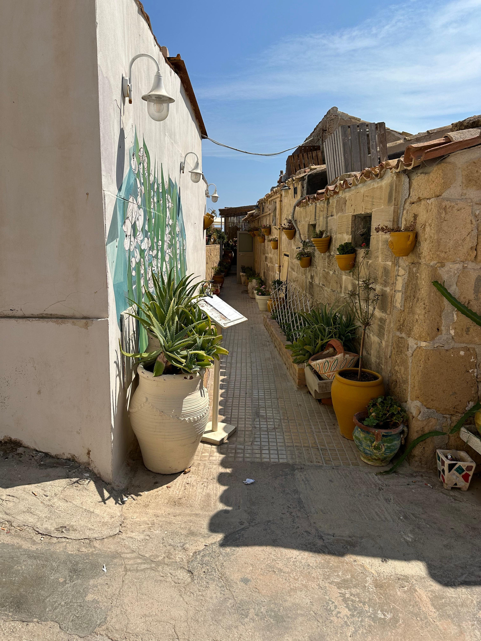 Narrow lane of sandstone houses with potted plants and a painted wall in western Sicily