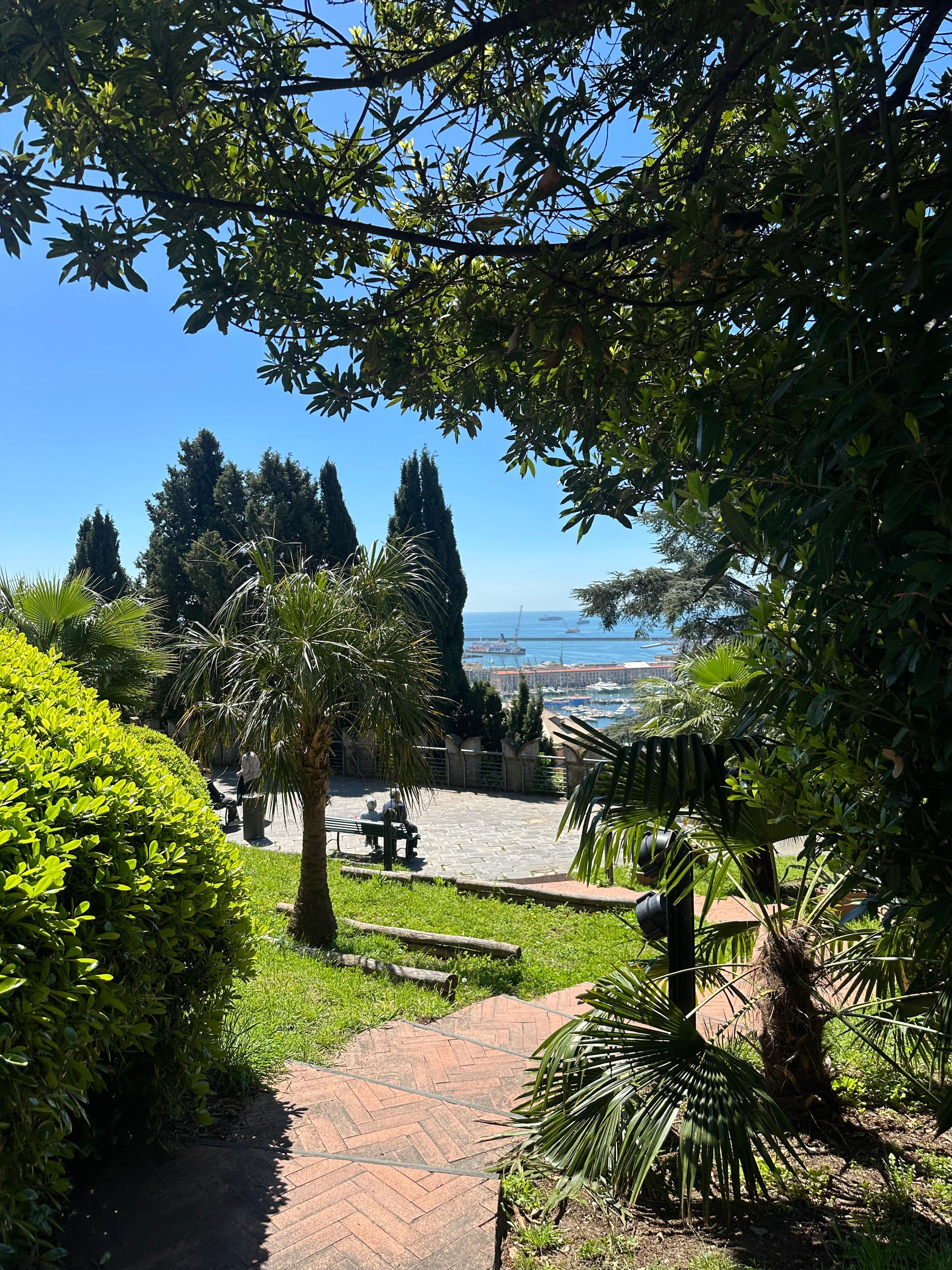 Brick-paved garden path framed by pines leading to a view over the harbour