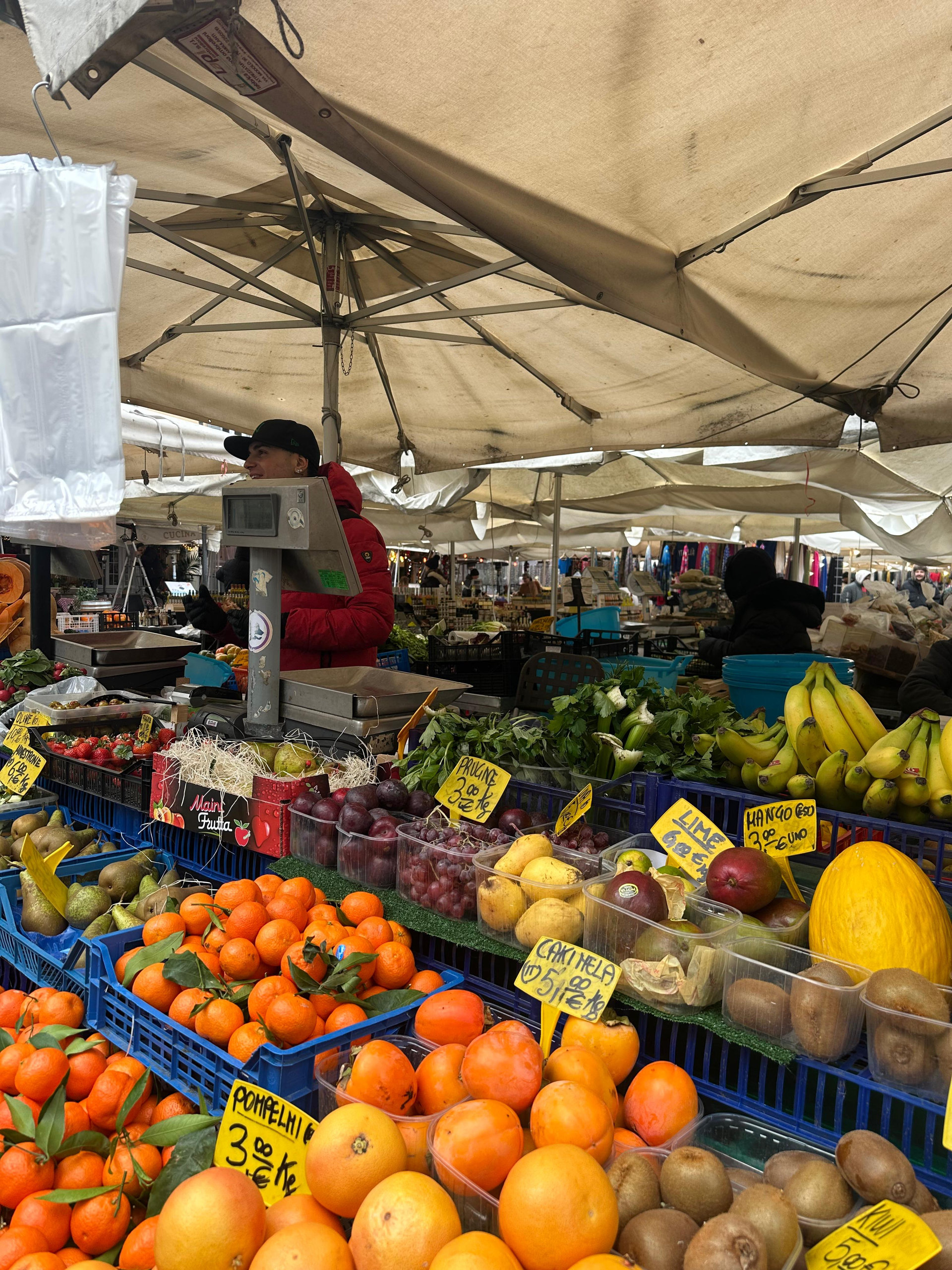 Rome market stall stacked with oranges, kiwis, bananas and other fresh fruit under canvas awnings