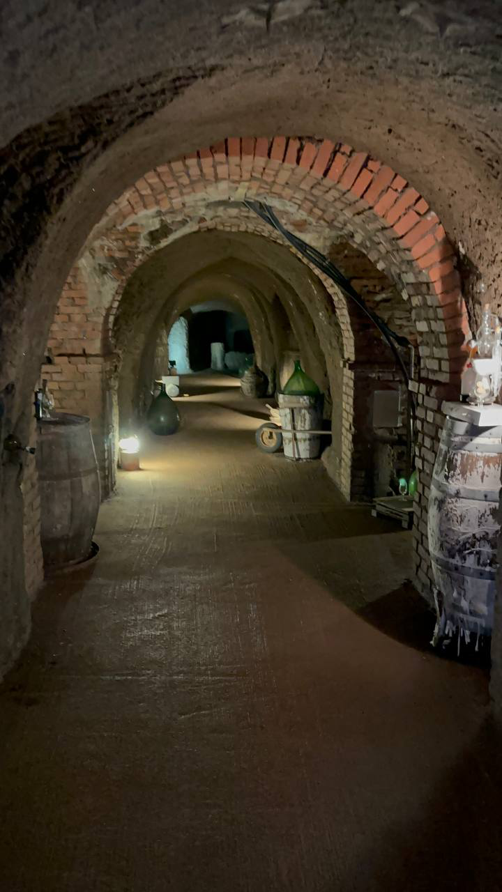 Brick-arched wine cellar corridor lined with barrels and demijohns