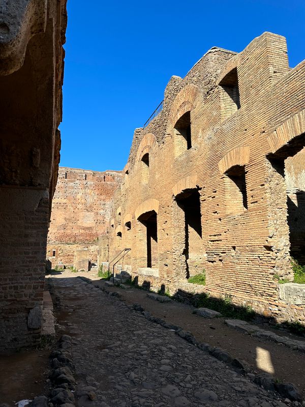 Cobbled lane between tall ancient brick buildings with arched windows in the sunshine