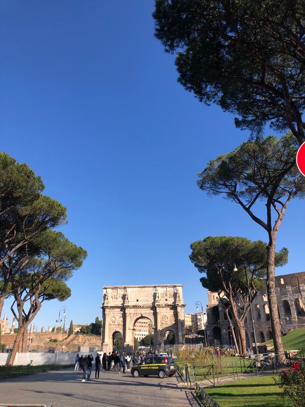 Arch of Constantine framed by umbrella pines near the Colosseum