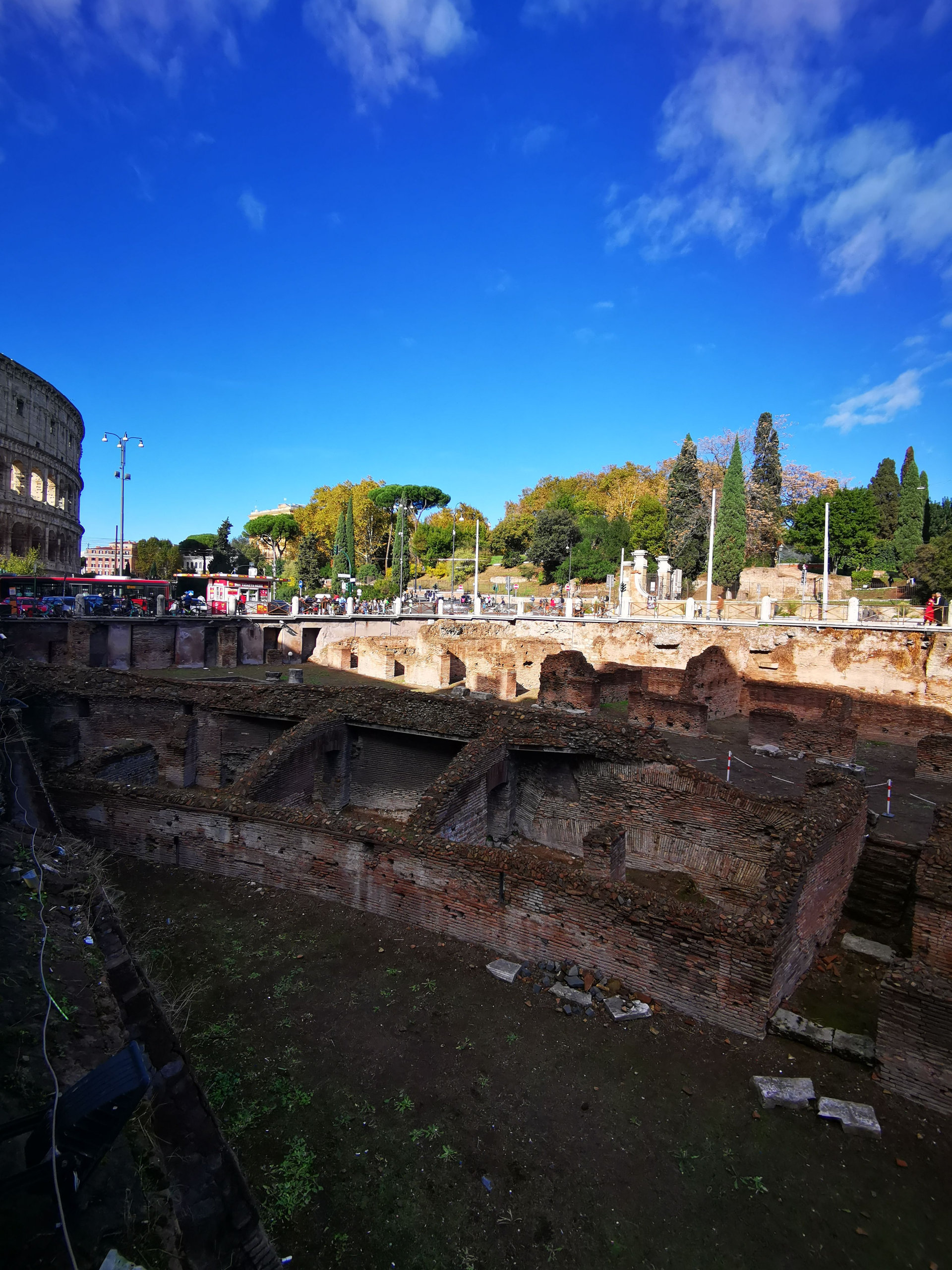 Excavated brick ruins with the Colosseum edge visible at left and cypresses beyond