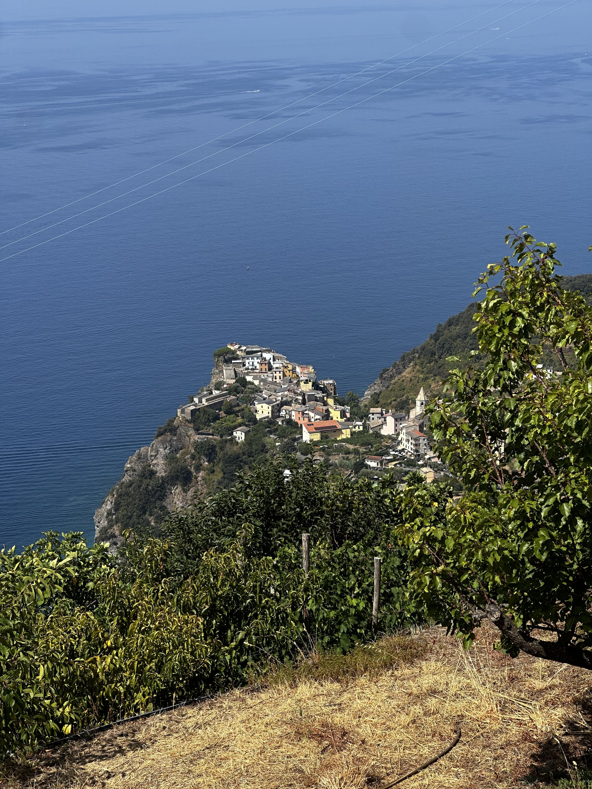 Distant cliff-top village on the Ligurian coast seen from a terraced hillside above the deep blue sea