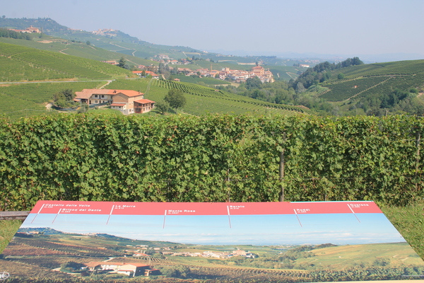 Viewpoint panel in front of a vine hedge overlooking Langhe hills and a hilltop village